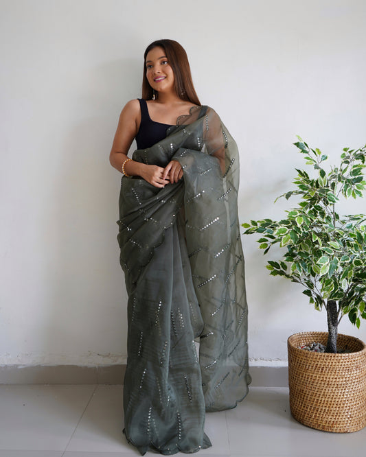 Hand-Embroidered Grey Pure Organza Saree with Blouse