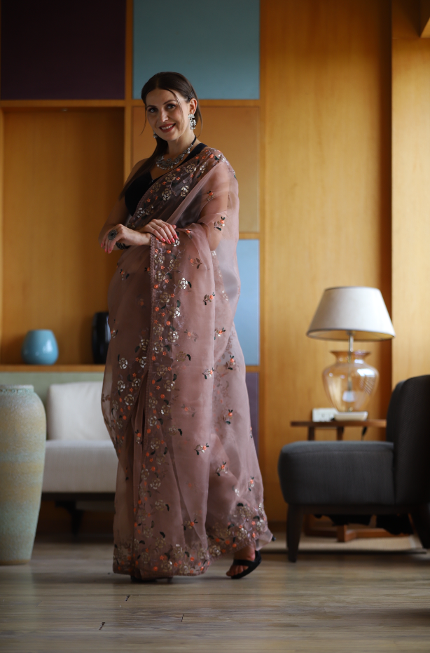 Hand-Embroidered Soft-Brown Pure Organza-Silk Saree with Blouse