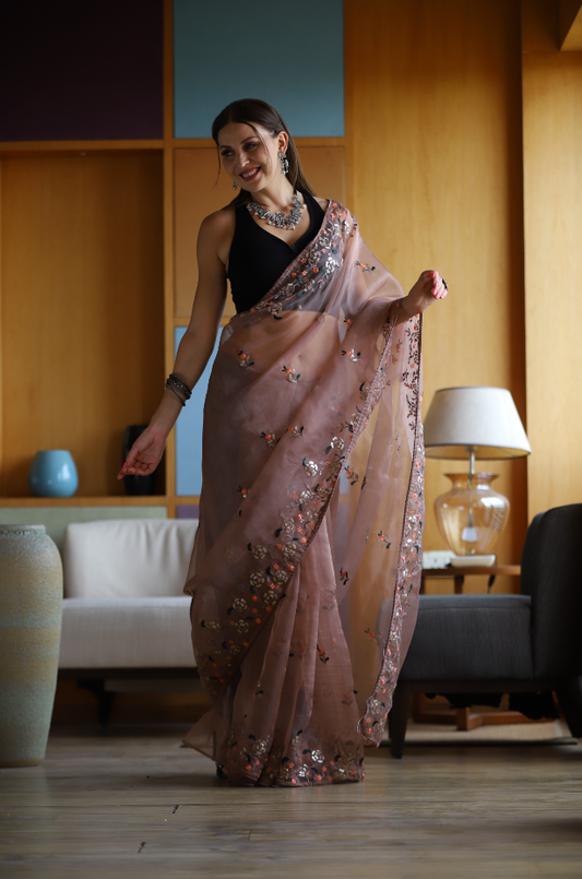 Hand-Embroidered Soft-Brown Pure Organza-Silk Saree with Blouse