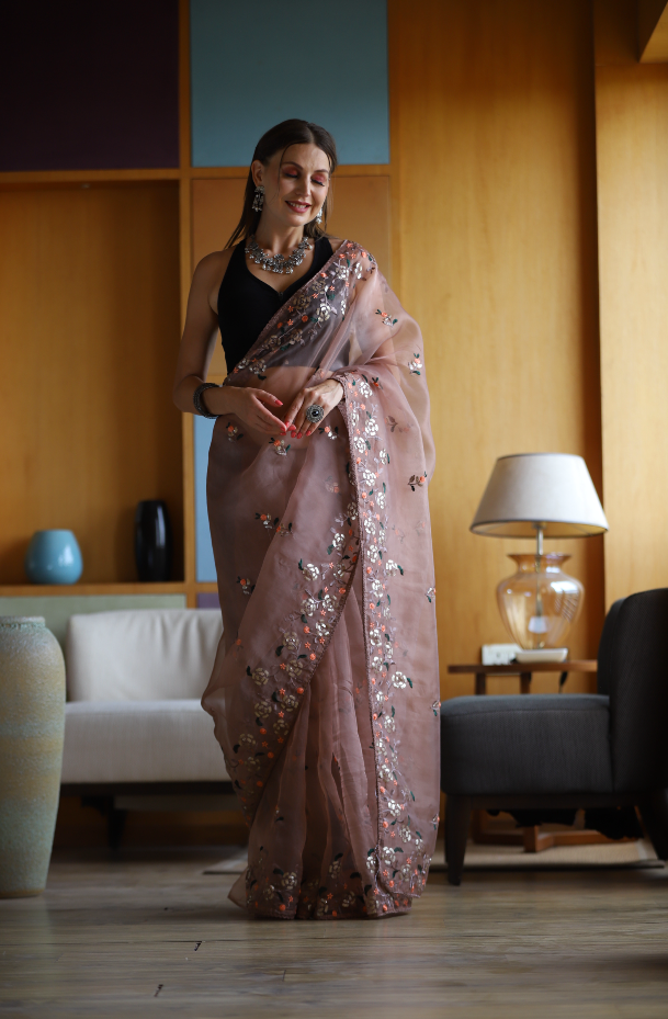 Hand-Embroidered Soft-Brown Pure Organza-Silk Saree with Blouse