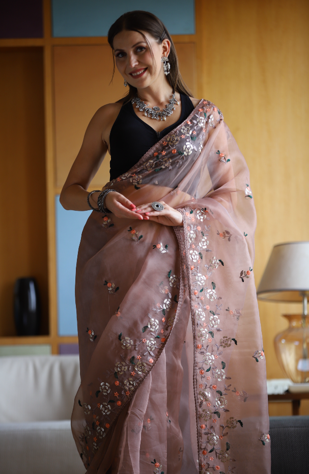 Hand-Embroidered Soft-Brown Pure Organza-Silk Saree with Blouse