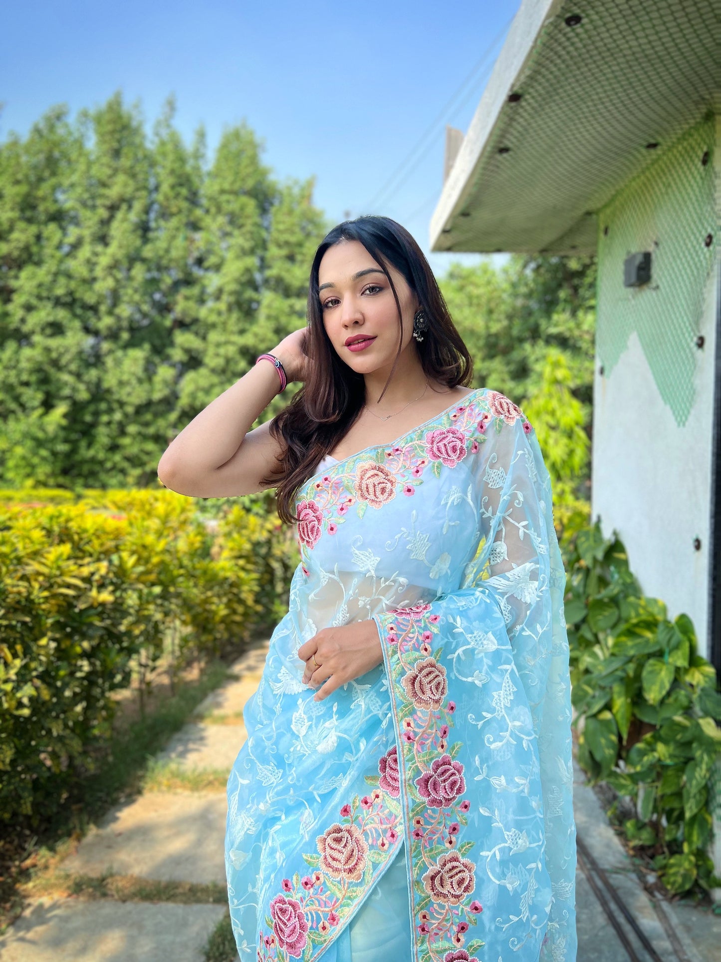 Hand-Embroidered Sky-Blue Pure Organza Silk Saree
